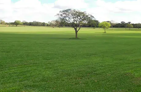 Unidades de Produção - Itapetininga SP