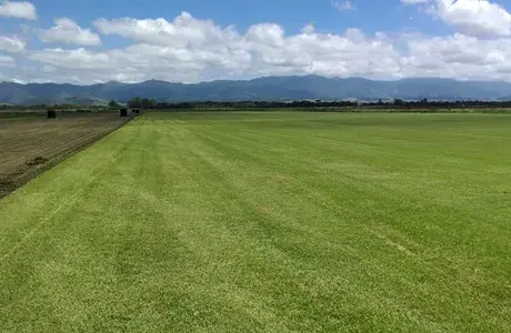 Unidades de Produção - Itapetininga SP